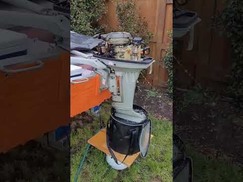 Video Suzuki 2