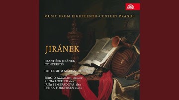 Concerto for Flute, Strings and Basso continuo in D major, Jk 11 - Allegro