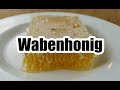 Wabenhonig - Die ursprünglichste Form Honig zu genießen!