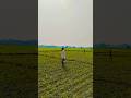 মেয়ের কান্ড দেখে #vairalvideo #song #short