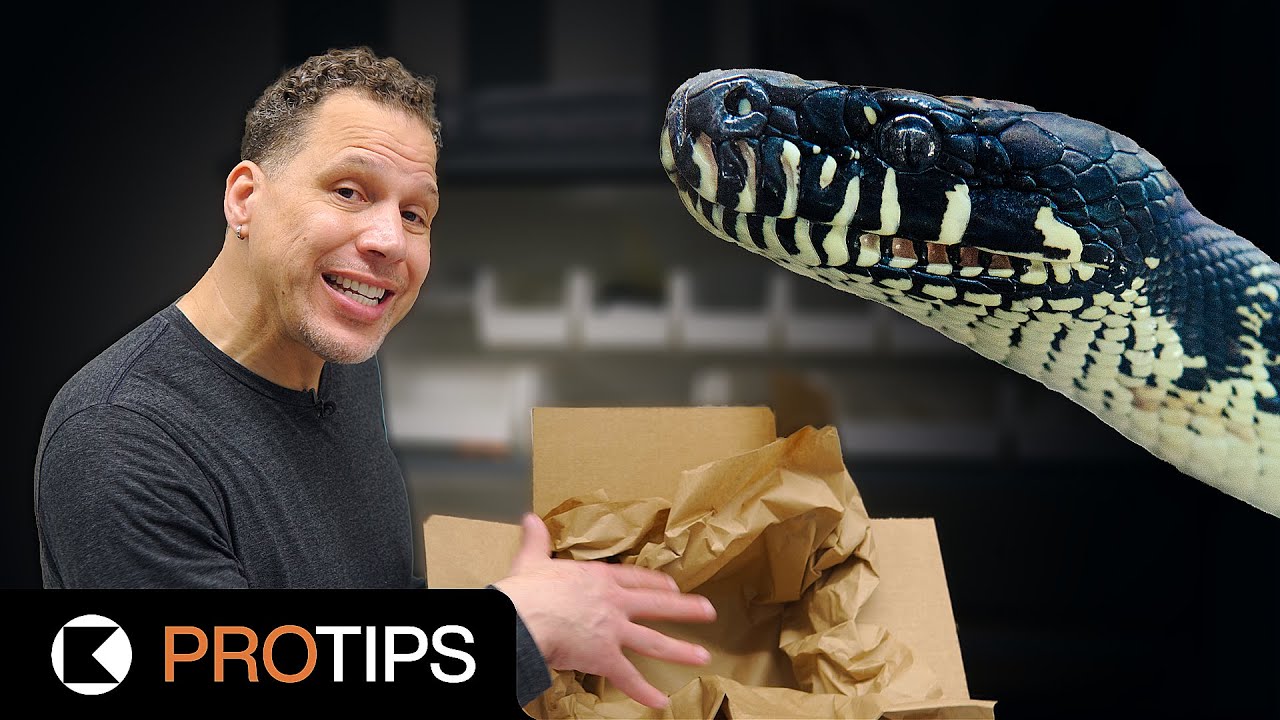 How to Ship Reptiles - STEP BY STEP | #ProTips - YouTube