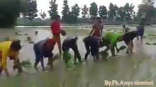 Jawaban lirik lagu MUNDUR ALON ALON