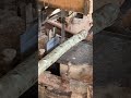 Experience Sawmill Precision A Day in the Life of an Expert Operator
