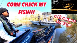 GAME WARDEN Pulls Up While Catching Pre-Spawn Crappie On Stubblefield | Lake Conroe Crappie Fishing