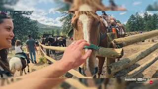 Colorado trip part 1. Exploring Estes Park and Rocky Mountain National Park.