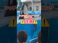 【シャチ公開トレーニング】見てたらビショ濡れになった… #shorts #シャチ #名古屋港水族館