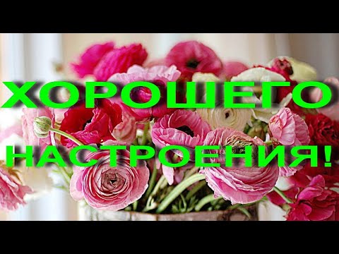 Желаю всем хорошего настроения! #видеооткрытки #анимация