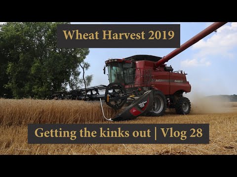 wheat-harvest-2019---getting-the-kinks-out-|-vlog-28