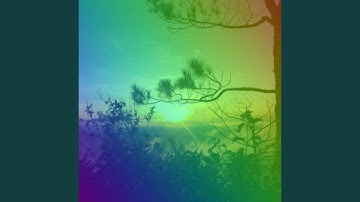 Paradise Like Ambience for Fresh Vibes