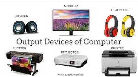 Computer Devices (Output devices) Urdu, Hindi  With Aamir Sultan