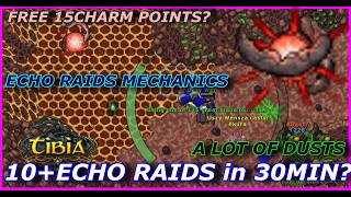 [ECHO RAIDS MECHANIKA] - SPRAWDZAMY DARMOWE ECHO RAIDY i ZBIERAMY DARMOWE DUSTY - TIBIA