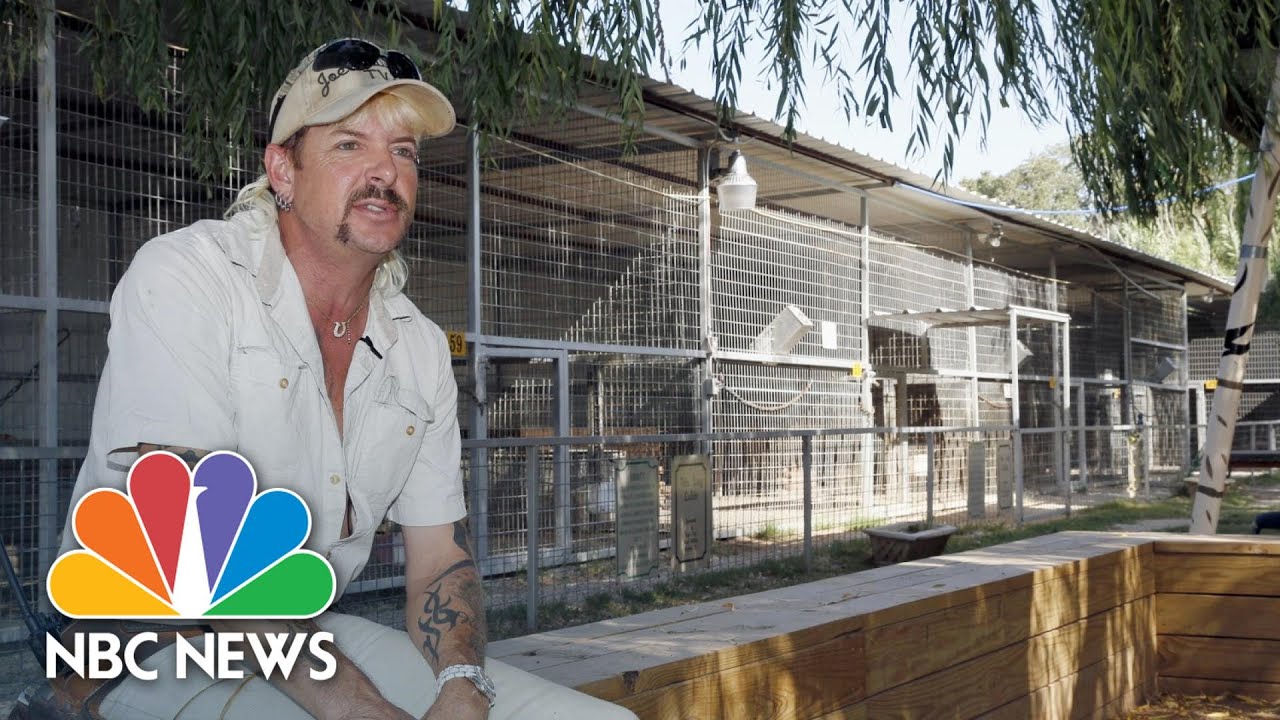 John Cameron Mitchell To Star In ‘Joe Exotic’ Limited Series | NBC News NOW