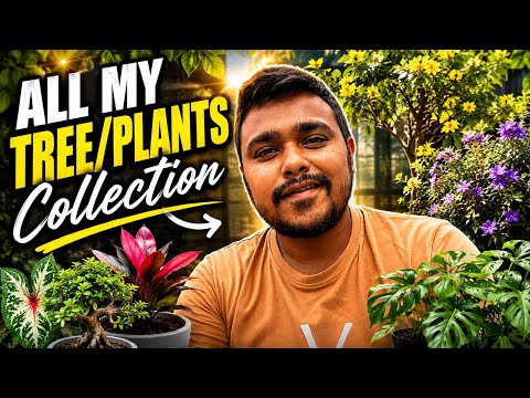All my Tree/Plants Collection | New Pet Update