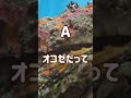 これ岩だよね?いや、オニダルマオコゼです #岩ちゃん #岩田剛典 #distance