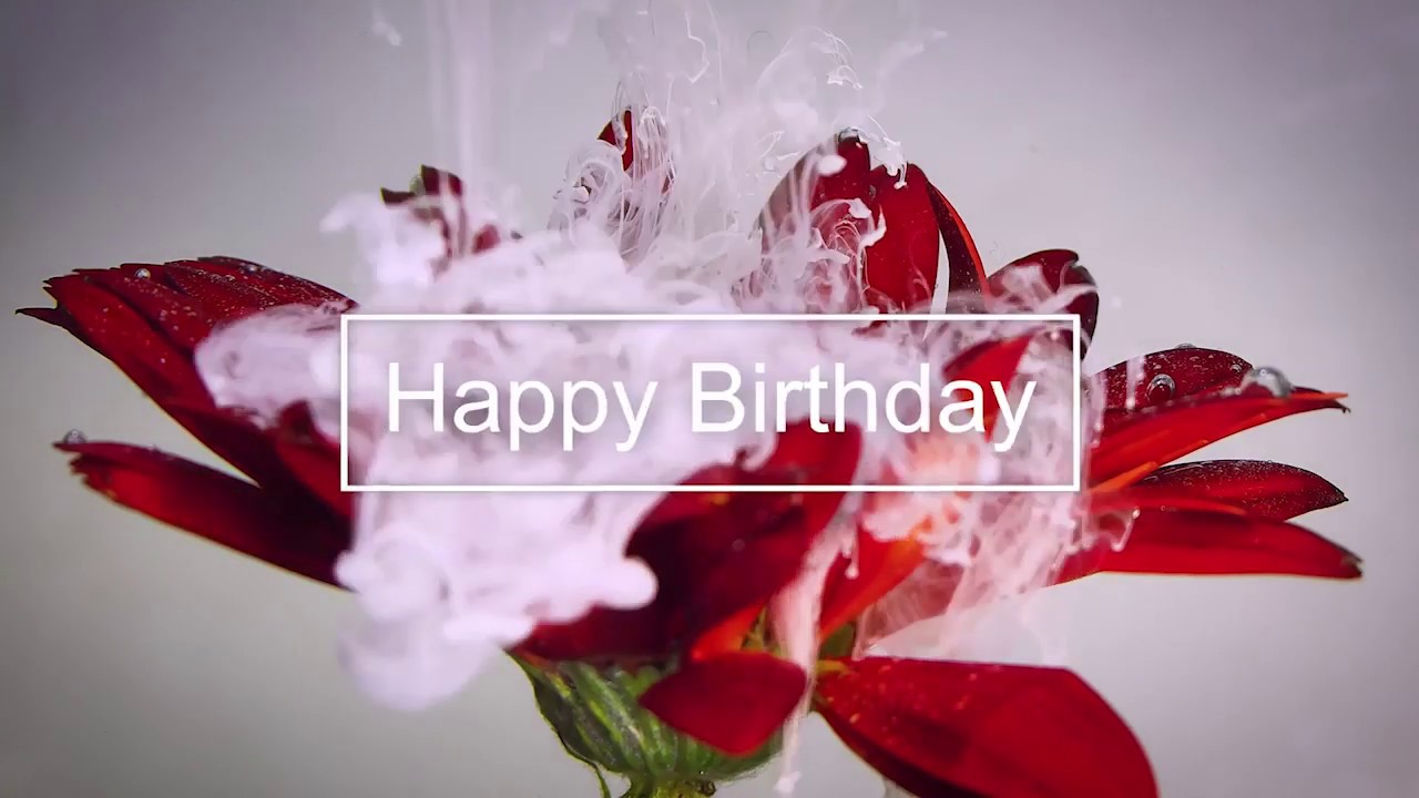 Happy Birthday Video Song Download FREE HD MP4 YouTube