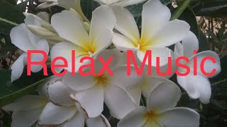 Relaxing Music & Rain Sounds   Beautiful  Music, Background Music, موسيقى مريحه للأعصاب