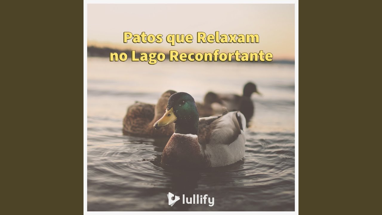 Patos Curiosos