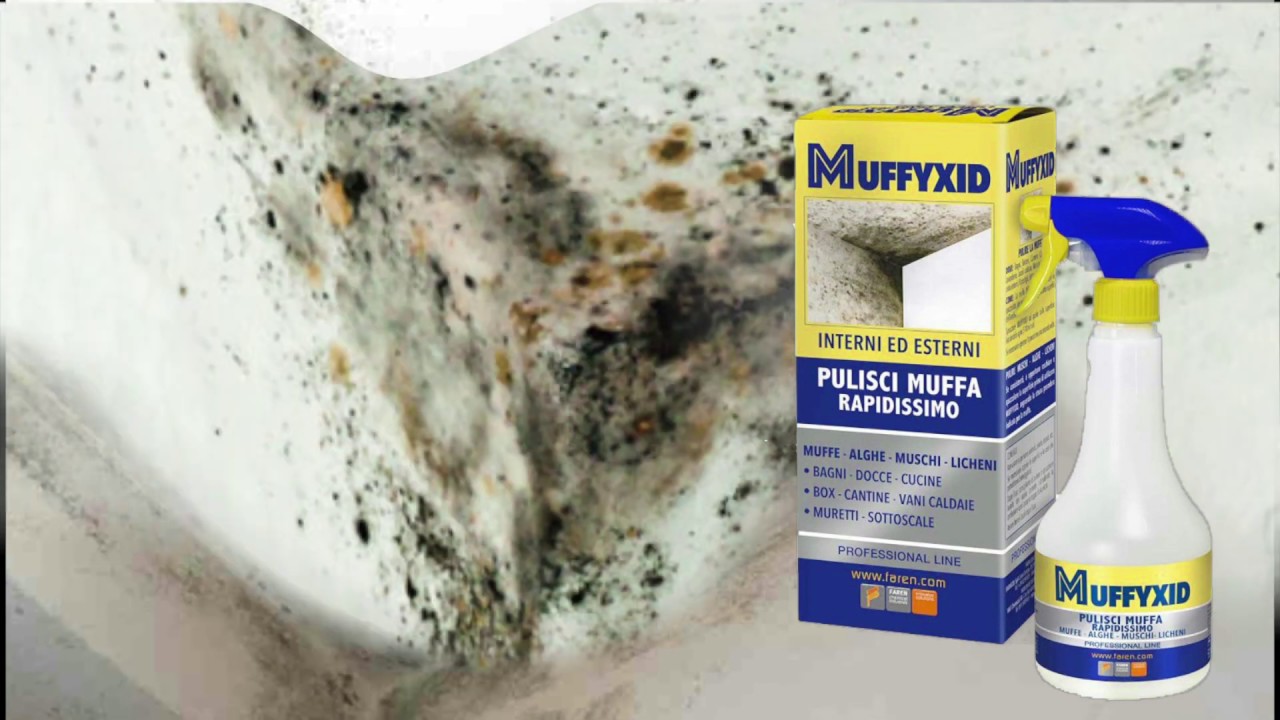 ANTIMUFFA MUFFYXID MUFFYCID RIMUOVI MUFFA TANICA 5 LT ANTIMUFFA