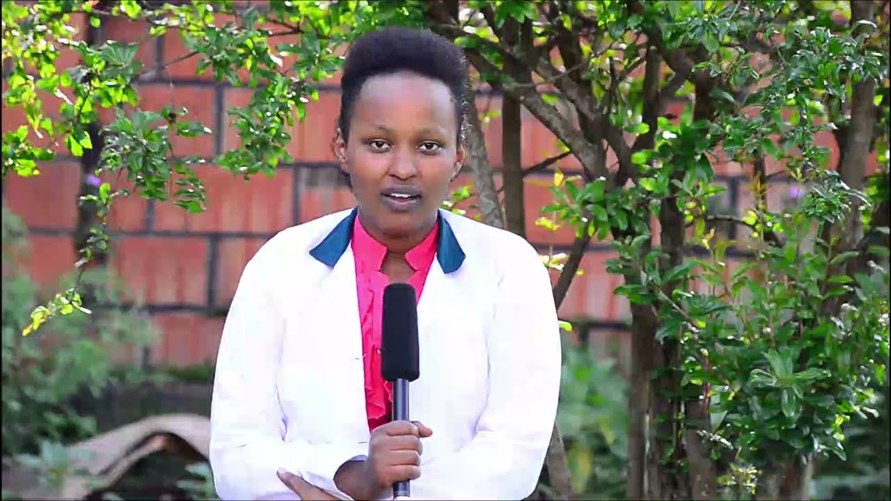 UBURYO WAMENYA GUTANDUKANYA OLIVE OIL