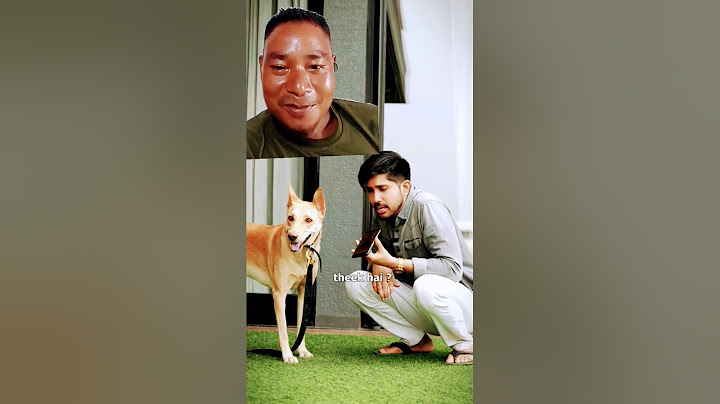 Power of A.I. 🐶😂 | Kuldeep Singhaniaa #shorts