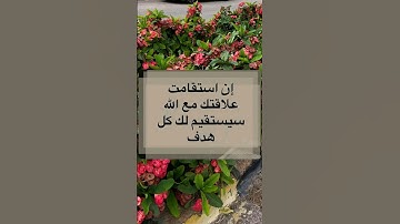 #الرقية_الشرعية #سورة_الكهف #حمزة_بوديب #سورة_البقرة #تحصين #قرآن #اكسبلور #المصحف #memes #لايك