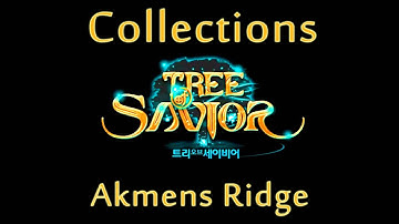 Tree of Savior Collections - Akmens Ridge