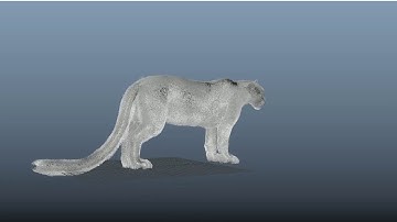 Animated Snow Leopard 3d Model | Maya