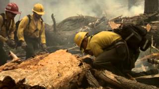 DOI Wildland Fire Veteran Recruitment