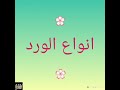أنواع الورد أنواع الورد