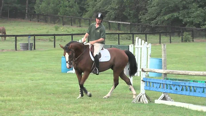 How to Jump a Triple Bar with Daniel Geitner