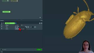 Amira-Avizo Software | Animate Rotation with Camera Orbit screenshot 5