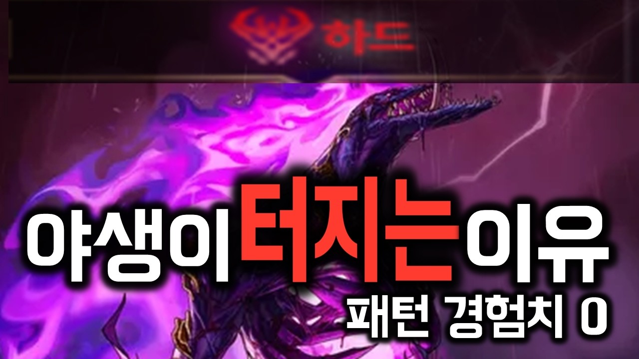 [던파] 디레지에 악연 레이드 후기: 야생이 터지는 이유(통곡의 벽)