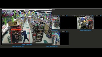 MDI AI Modeling for Fighting & Aggressive Behavior