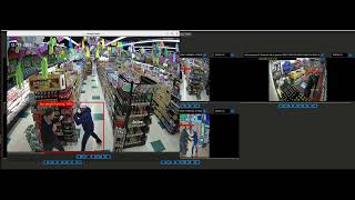MDI AI Modeling for Fighting & Aggressive Behavior