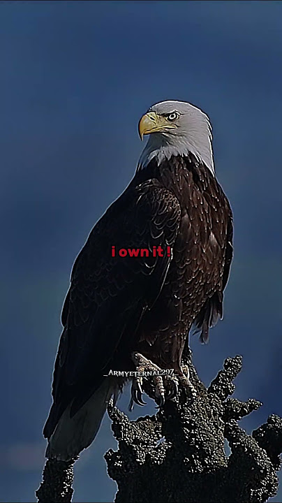 Download lagu Nature's creation🥶 #shorts #trending #aestheic #aesthetic #trend #explore #reality #popular #100k