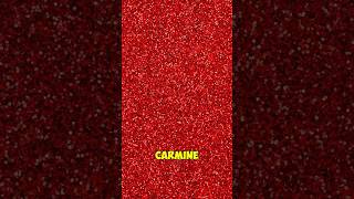 Bugs In Your Food? The Truth About Red Dye