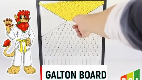 Galton Board (Yellow/Gold) - Demonstrate Statistics and Normal Distribution aka Dalton Board