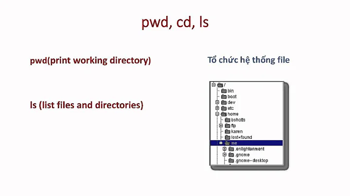 Hướng dẫn sử dụng Terminal Mac Osx 1: pwd, ls, cd