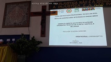 APRESENTAÇÃO PPJ - ETFAP 2025