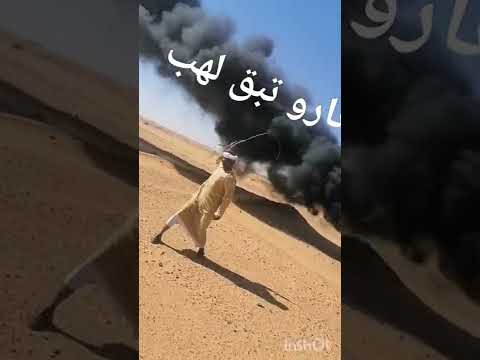 ودارالزين يعرض والعنج واقف سيخ