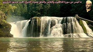 ما تيسر من سورة المنافقون والتغابن والعلق بصوت الشيخ/ محمد صديق المنشاوي