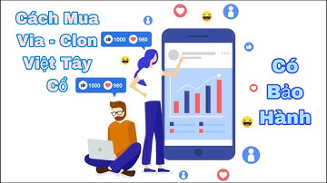 Cách Mua Via Clone Facebook Cổ Về Chạy Quảng Cáo Facebook Bán Hàng ( web dichvumedia )