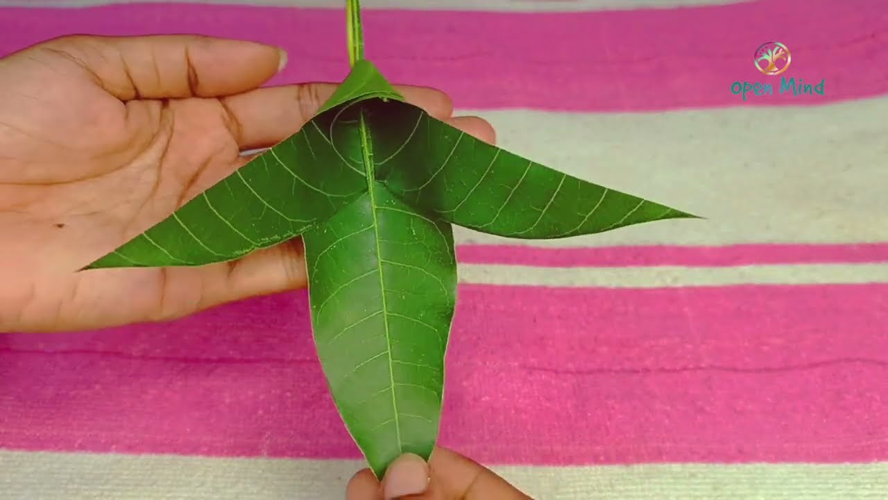 Diwali Laxmi Puja Special Toran Design. Mango leaf toran..