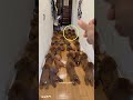 😲 Owner Wasn't Ready for What This Dog Did!❤️😊 #shorts#viral