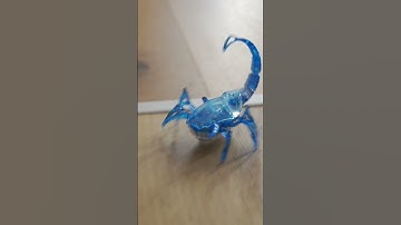 Electronic Autonomous Scorpion Robotic