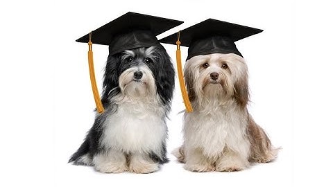 Android App: Make an ArrayList of Objects from a Kotlin Class using Data from Raw Text File