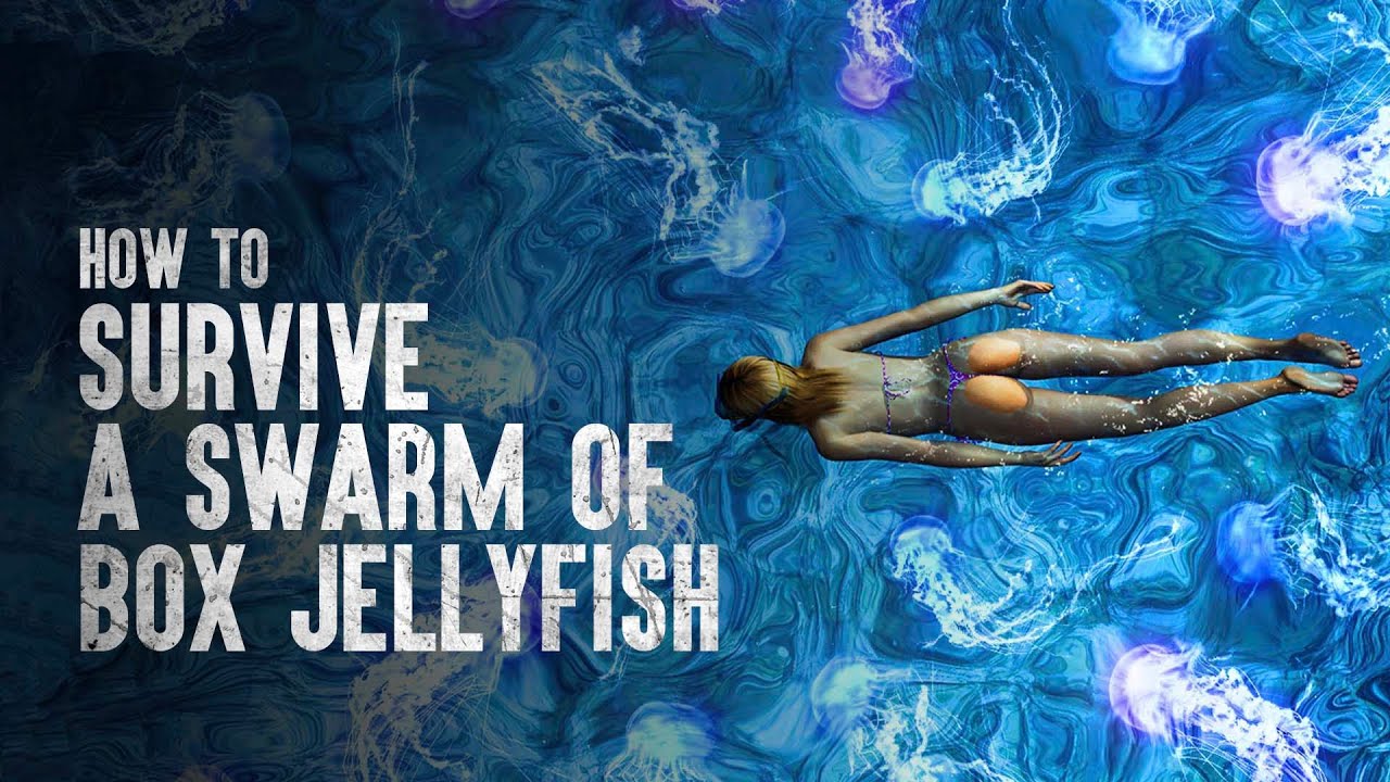 How To Survive A Swarm Of Box Jellyfish