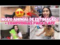 COMPRINHAS PARA O APÊ NOVO + NOSSO NOVO ANIMAL DE ESTIMAÇÃO!| Lidiane Pícculi