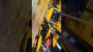 Playful Baboons Interrupt Classroom Study Session