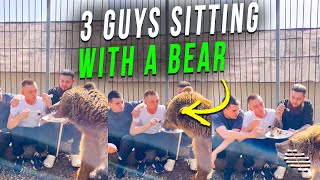 3 Guys Sitting With a Bear Inside Its Enclosure as They All Eat From the Same Plate